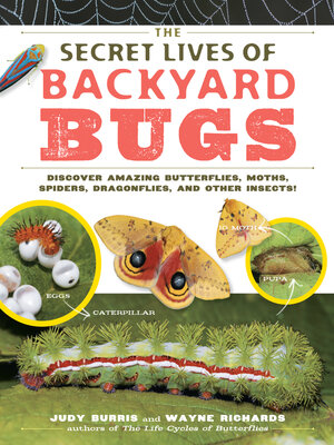 cover image of The Secret Lives of Backyard Bugs